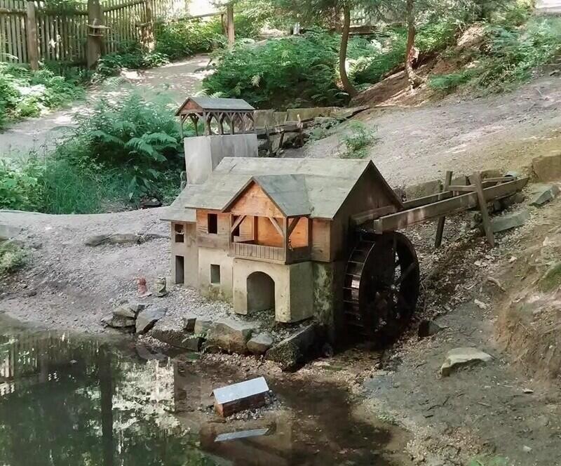 Foto z https://www.kudyznudy.cz/